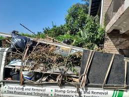 Best Attic Cleanout  in Gainesville, FL